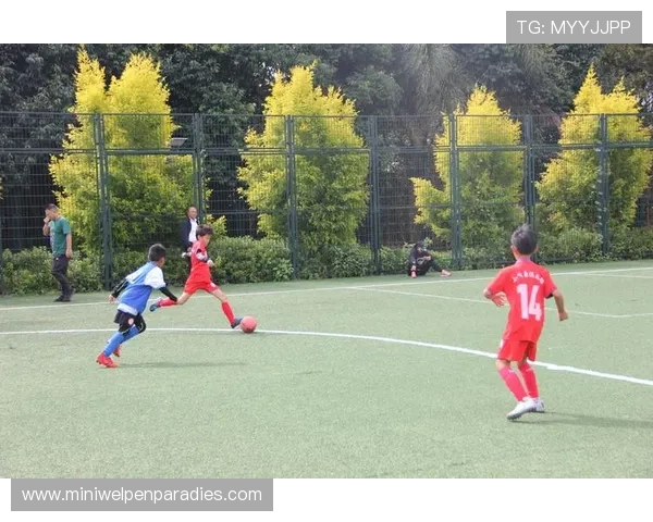 KK体育在全国范围内举办青少年足球培训营助力青少年体育事业全面发展