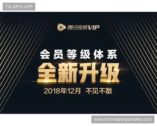 v体育真人版会员注册攻略全方位指南让你快速成为VIP会员享受专属福利