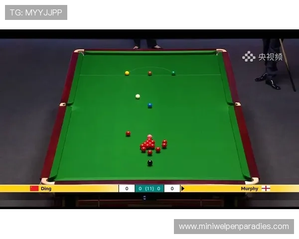 乐鱼体育真人视讯如何实现高清流畅的直播体验确保每一场比赛都精彩纷呈