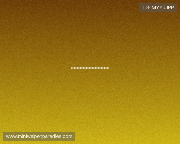 全面解析百家乐玩法的基本规则与多种常见玩法策略推荐