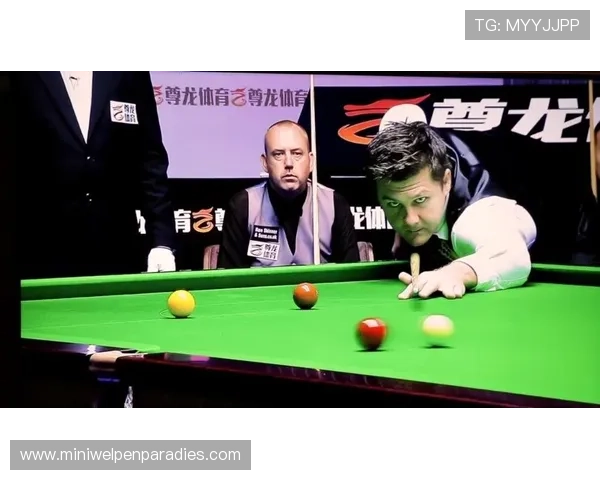 尊龙体育最新地址更新指南，详细介绍如何顺利访问平台避免登录困难与账号风险