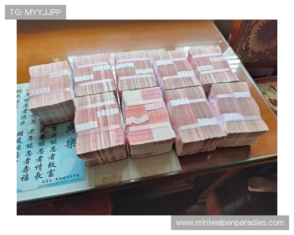 急速百家乐APP提供丰富的游戏场次选择，满足不同玩家的娱乐偏好和需求