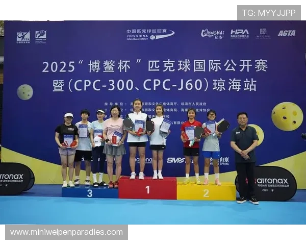 探索PA体育新版的创新功能,助力体育爱好者享受极致观赛体验