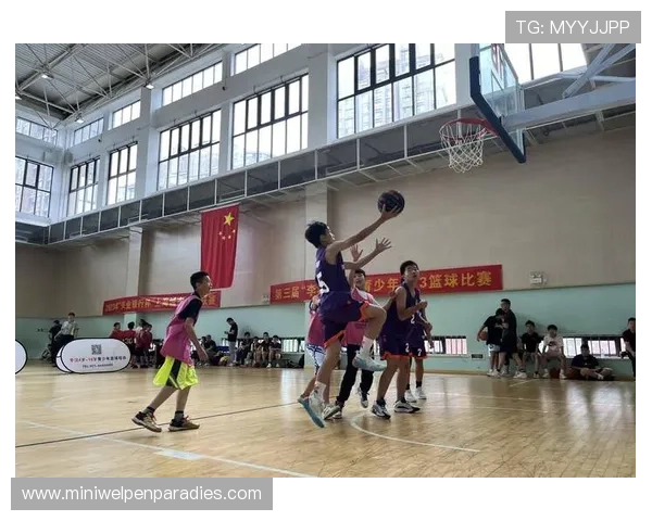 星空体育真人视讯为体育爱好者打造最专业的直播平台体验极致高清画质