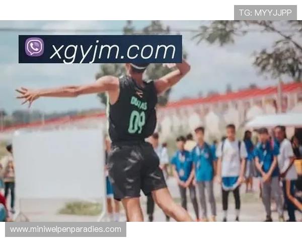 星空体育体育：结合天文观测与体育锻炼，创新夜间运动方式，享受星空的魅力