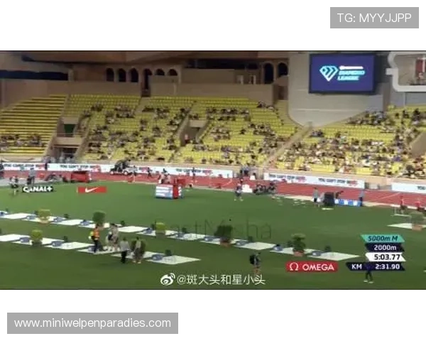 如何顺利注册头头体育会员账号提升您的体育赛事观看体验