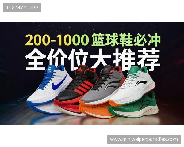 买球鞋的app排行榜2026最新推荐帮助你轻松找到性价比最高的运动鞋购买平台