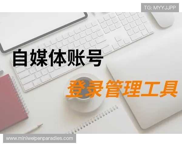 掌握UED官网站登录流程提升游戏体验与账号管理效率