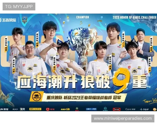 看球吧足球篮球体育直播平台支持多种观看模式满足不同用户的个性化需求