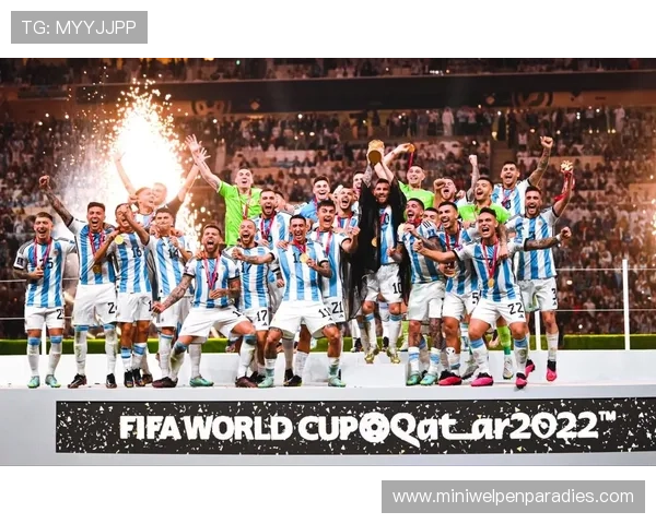 买球网页：打造专业世界杯赛事报道与实时比分分析平台