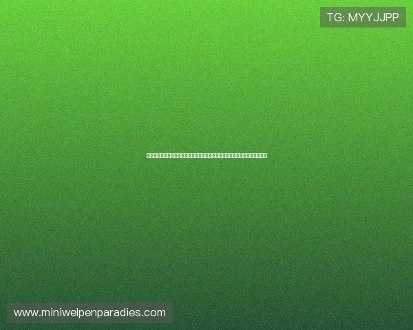 加拿大对阵波黑能否成功突围？深度剖析两队在世界杯出线形势中的优势与挑战