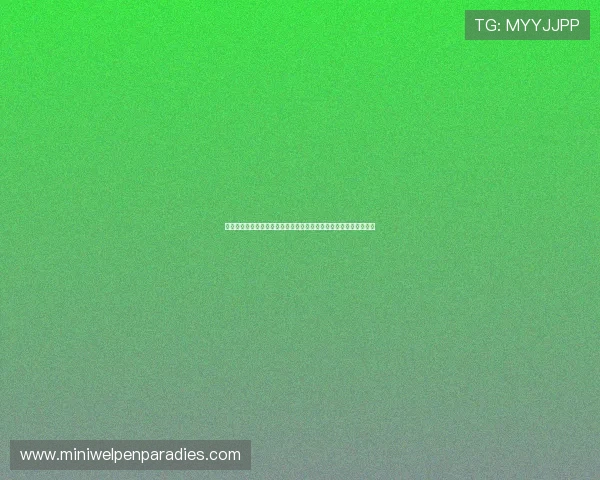 比利时队教练针对埃及队的战术布置及比赛中关键战术变化详尽分析